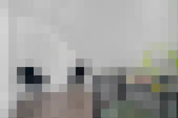 Brahmalaan 61 Barneveld thumbnail 34