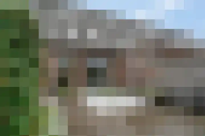 Brahmalaan 61 Barneveld thumbnail 38