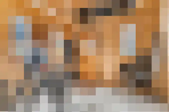 Brahmalaan 61 Barneveld thumbnail 40