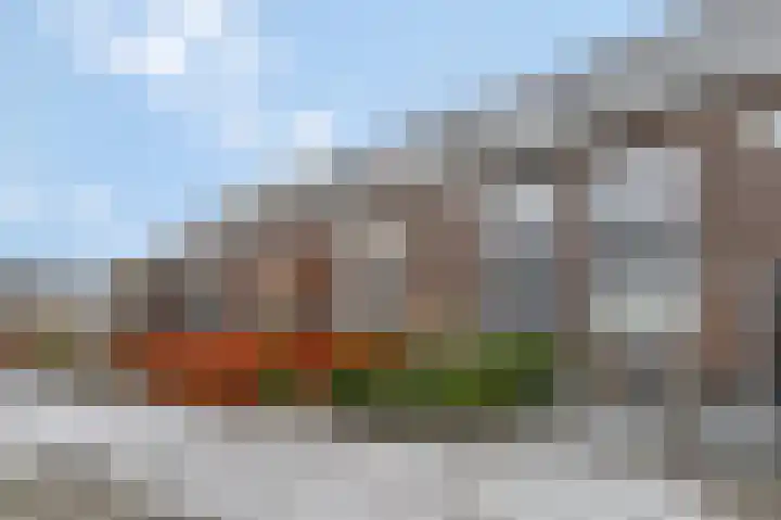 Brahmalaan 61 Barneveld thumbnail 8