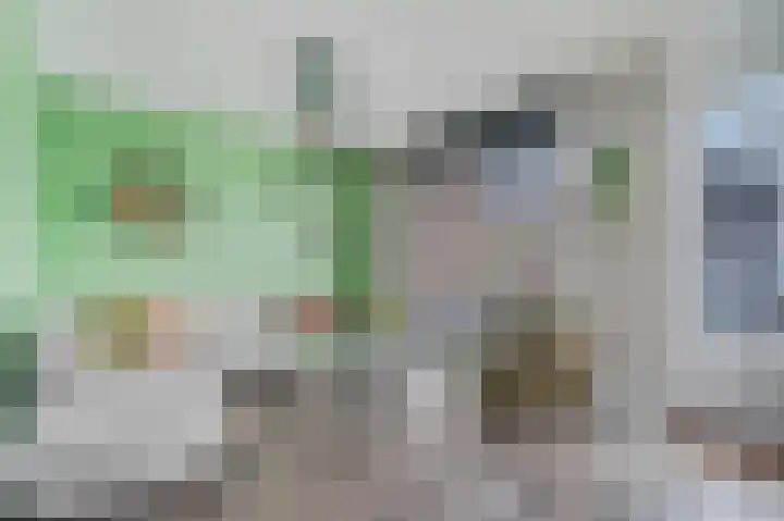 Brahmalaan 61 Barneveld thumbnail 9