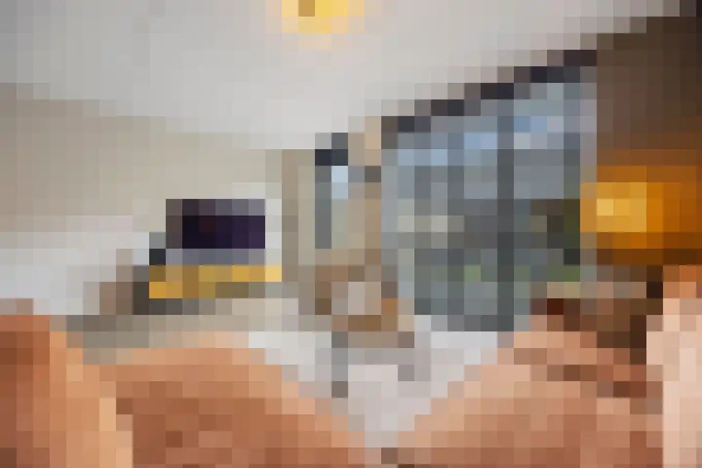 Brahmalaan 7 Barneveld thumbnail 10