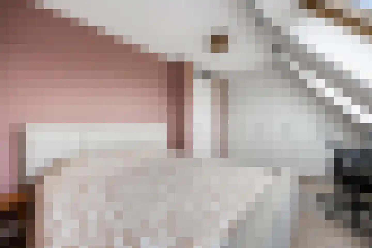 Brahmalaan 7 Barneveld thumbnail 15