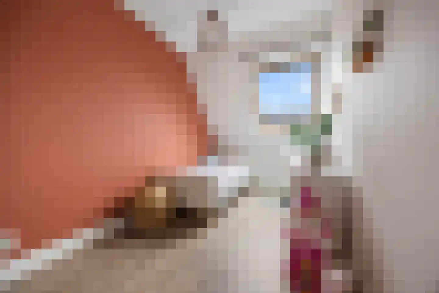 Brahmalaan 7 Barneveld thumbnail 17