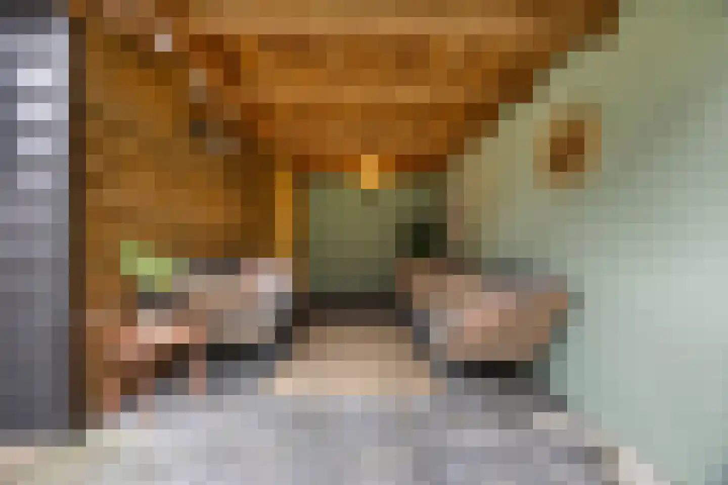 Brahmalaan 7 Barneveld thumbnail 29