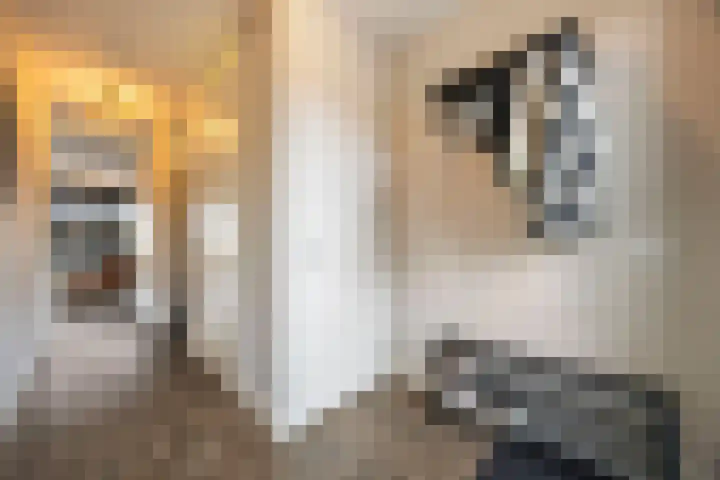 Brahmalaan 7 Barneveld thumbnail 5