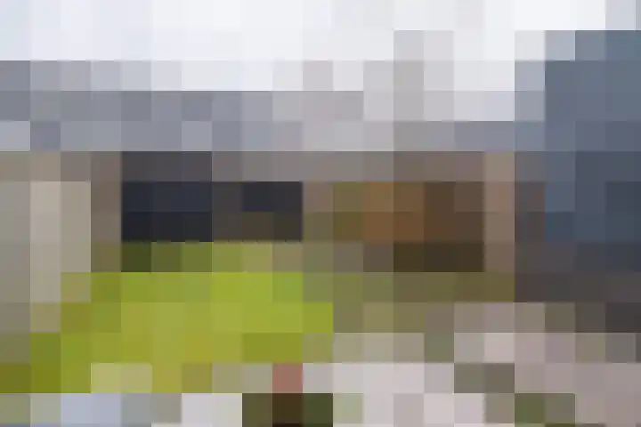 Brahmalaan 70 Barneveld thumbnail 34
