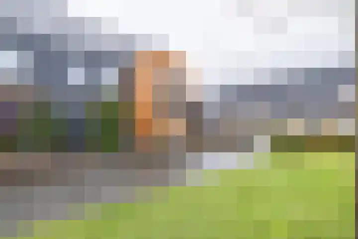 Brahmalaan 70 Barneveld thumbnail 40