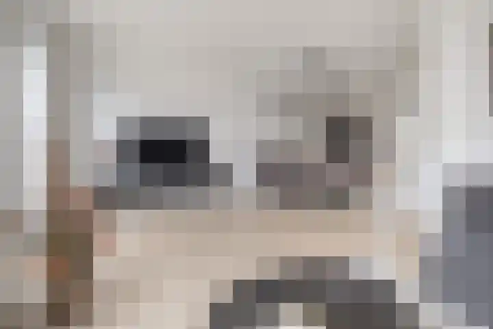 Brahmalaan 70 Barneveld thumbnail 5