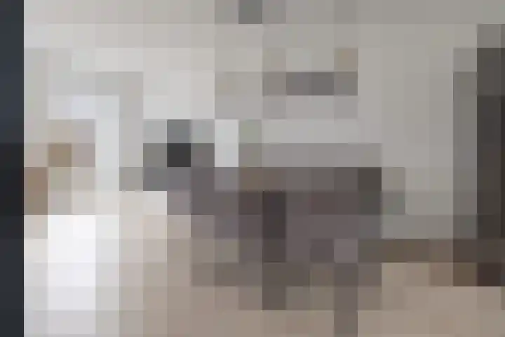Brahmalaan 70 Barneveld thumbnail 8