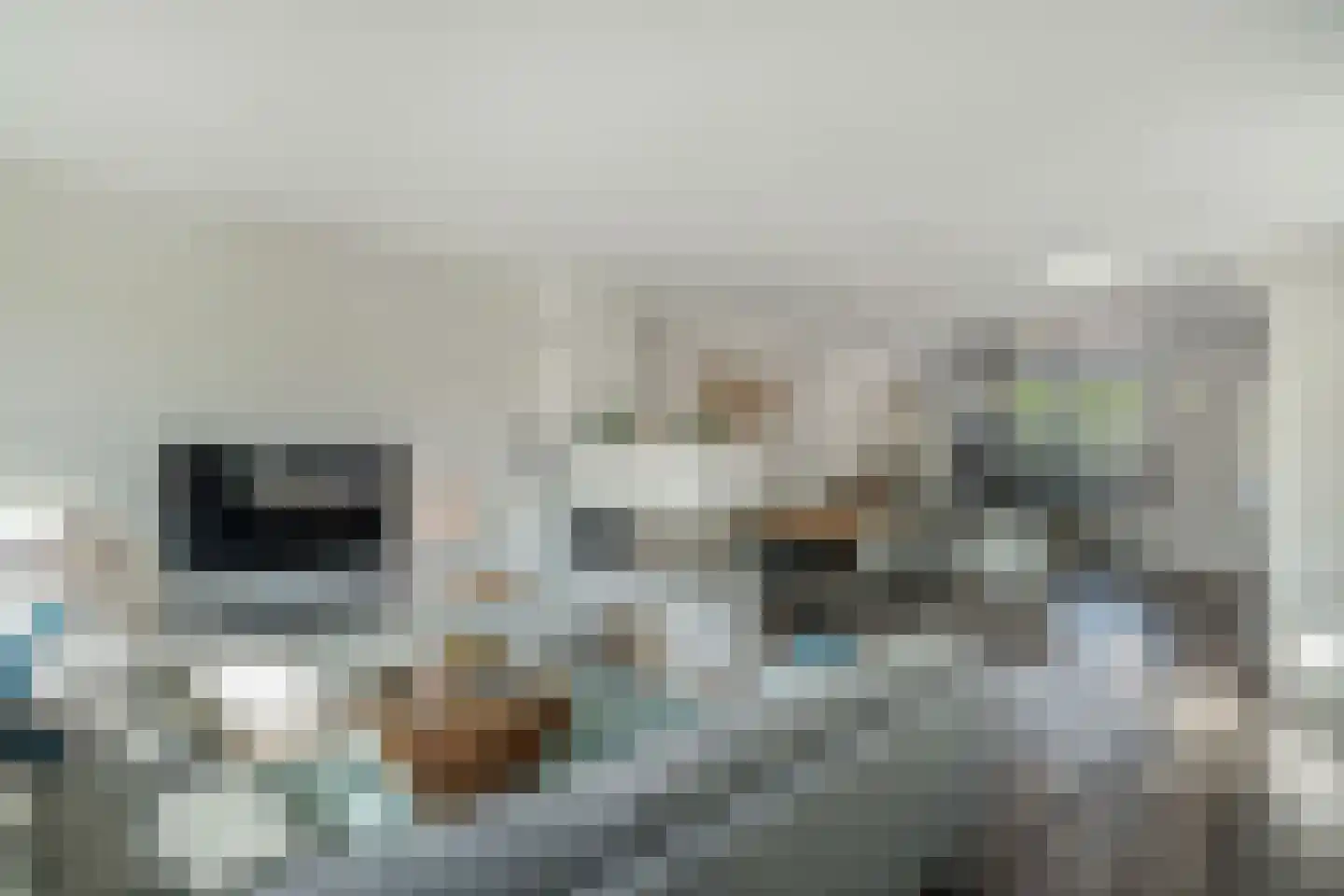 Brahmslaan 1 Akersloot thumbnail 14