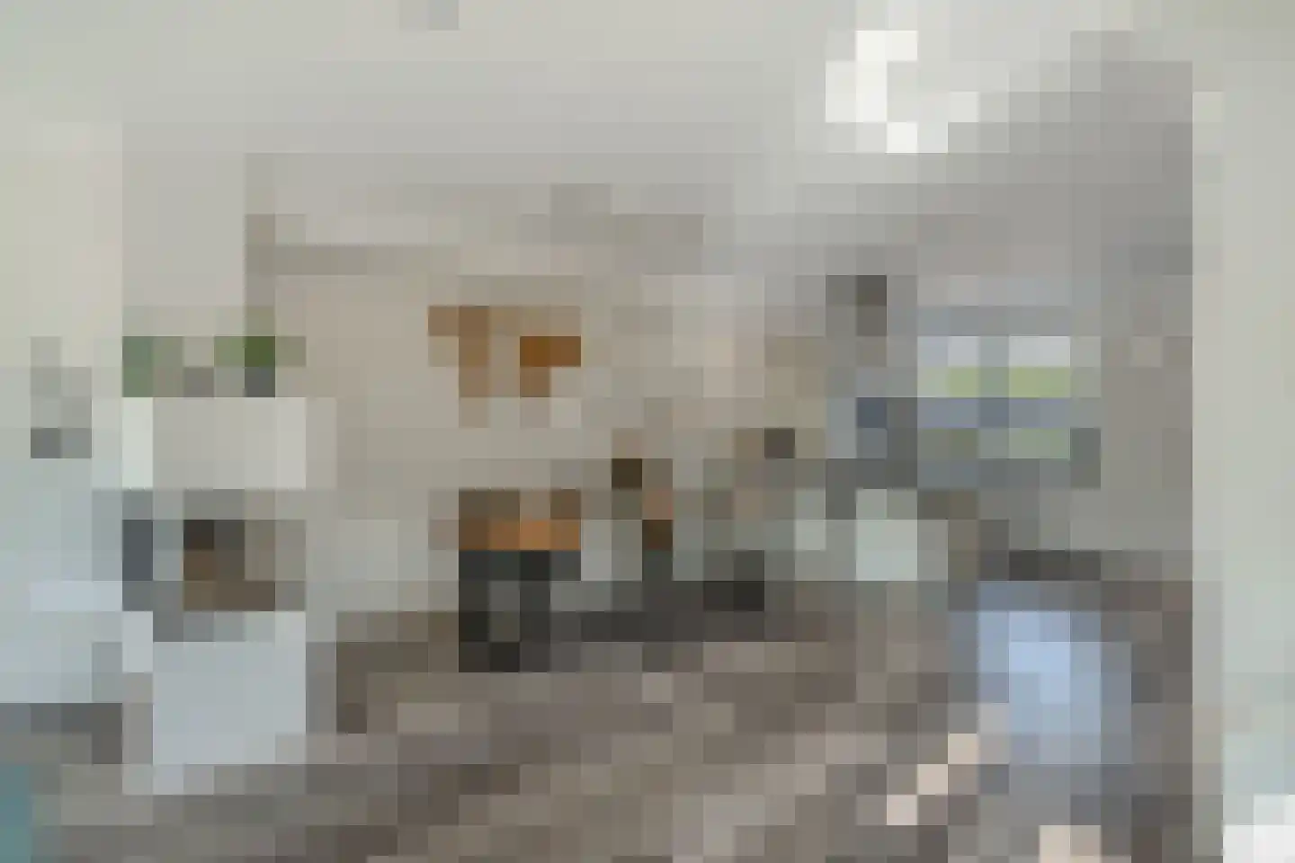 Brahmslaan 1 Akersloot thumbnail 15