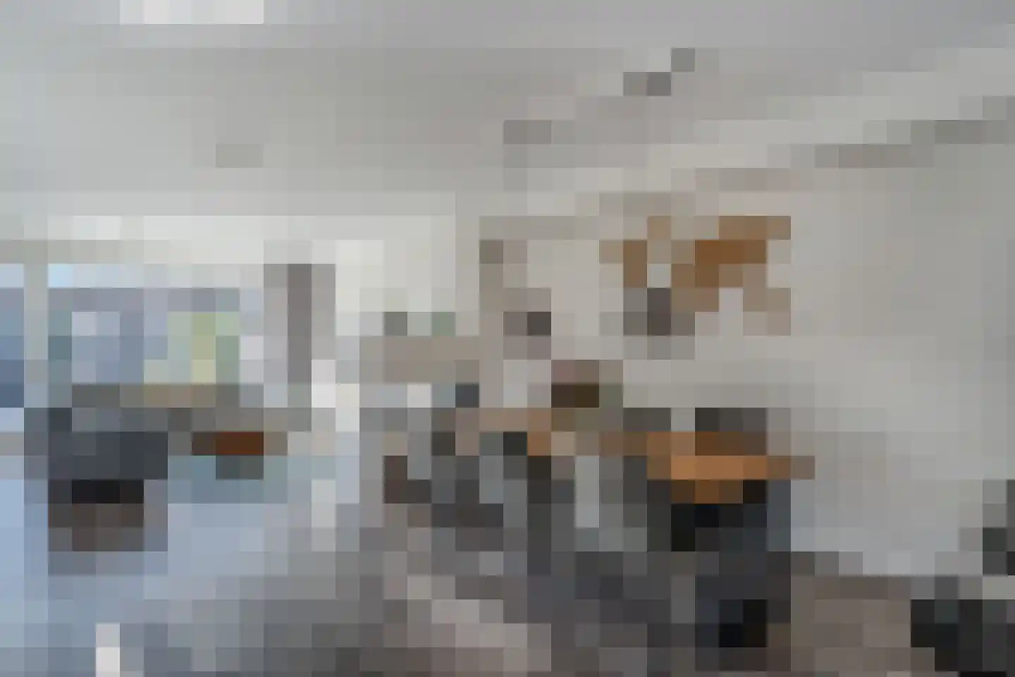 Brahmslaan 1 Akersloot thumbnail 16