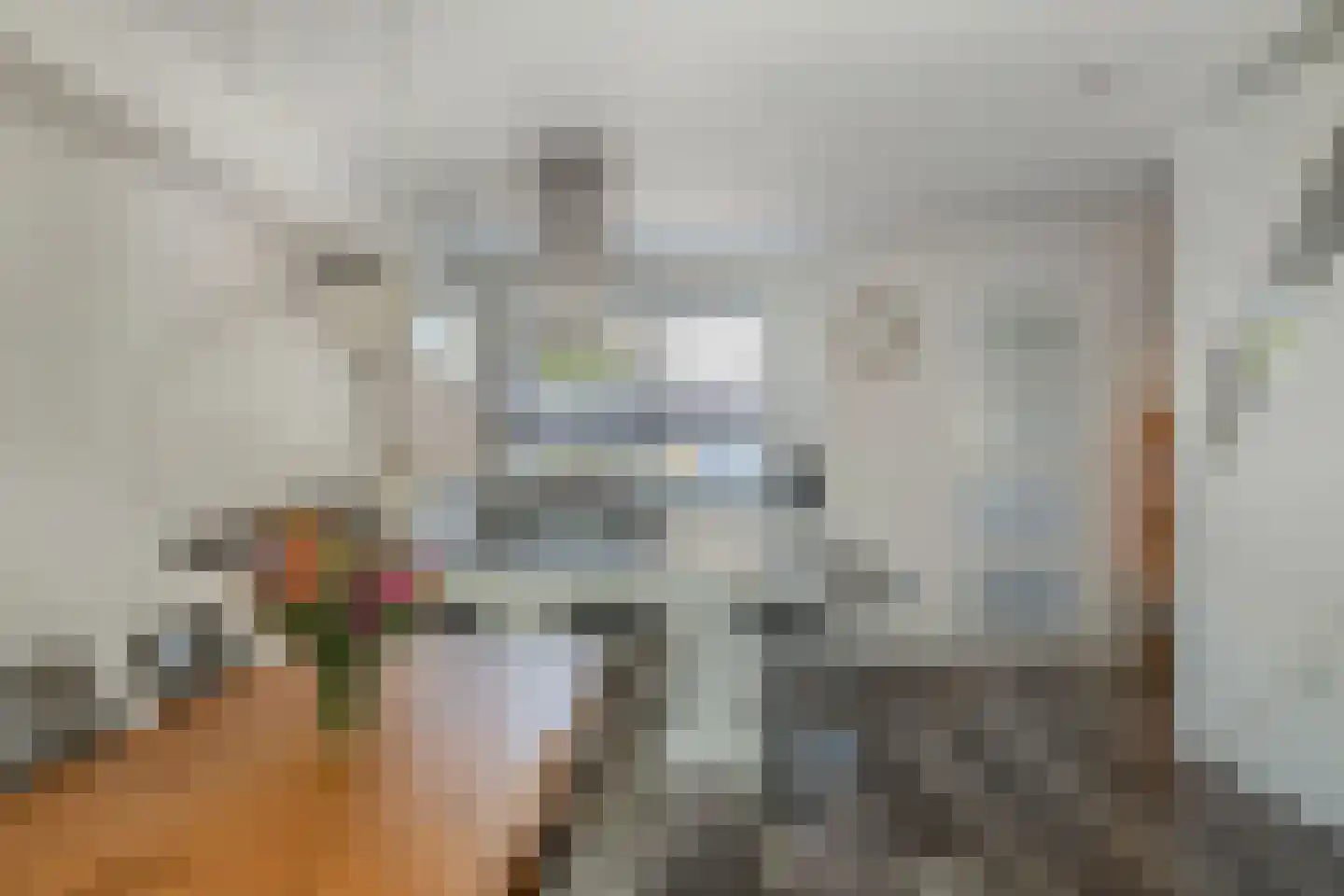Brahmslaan 1 Akersloot thumbnail 18