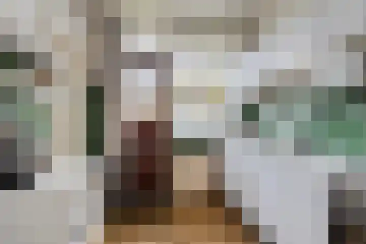 Brahmslaan 10 Rotterdam thumbnail 11