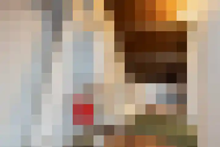 Brahmslaan 10 Rotterdam thumbnail 20
