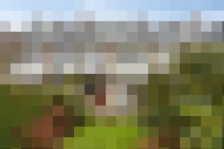 Brahmslaan 10 Rotterdam thumbnail 23