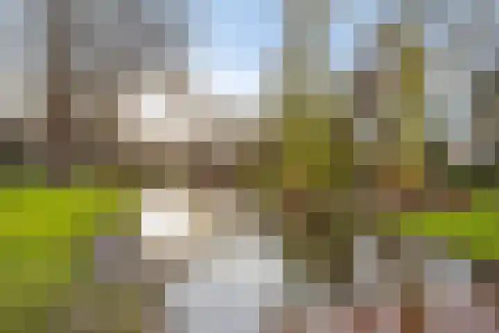 Brahmslaan 10 Rotterdam thumbnail 27