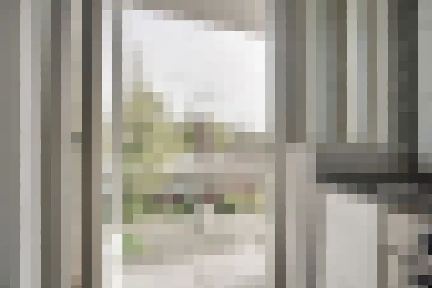 Brahmslaan 101 Leiden thumbnail 14