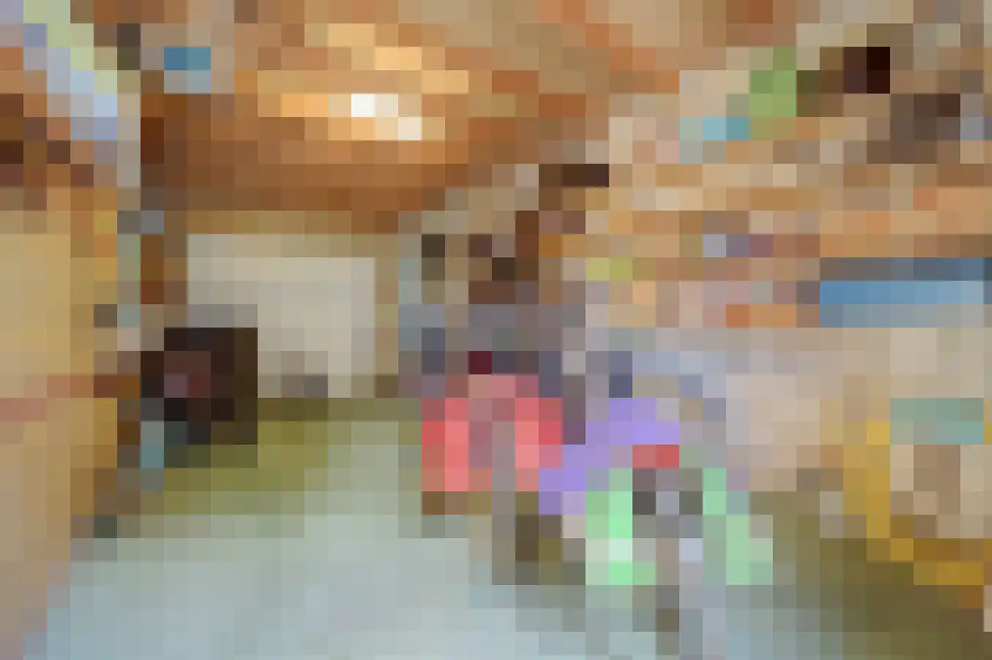 Brahmslaan 11 Goes thumbnail 32