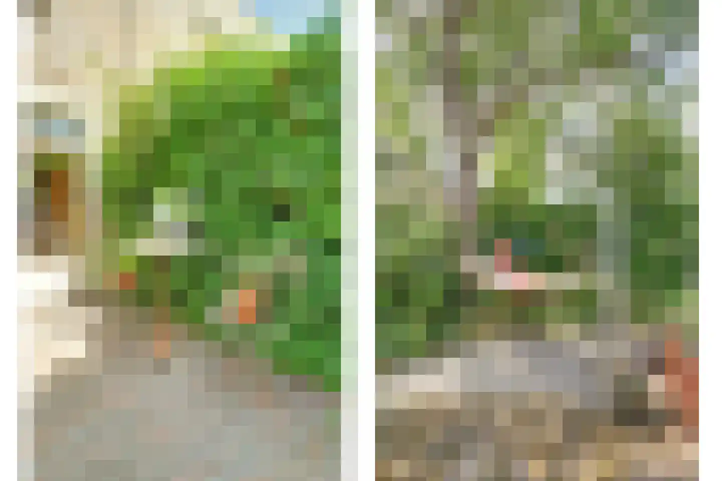 Brahmslaan 11 Goes thumbnail 36