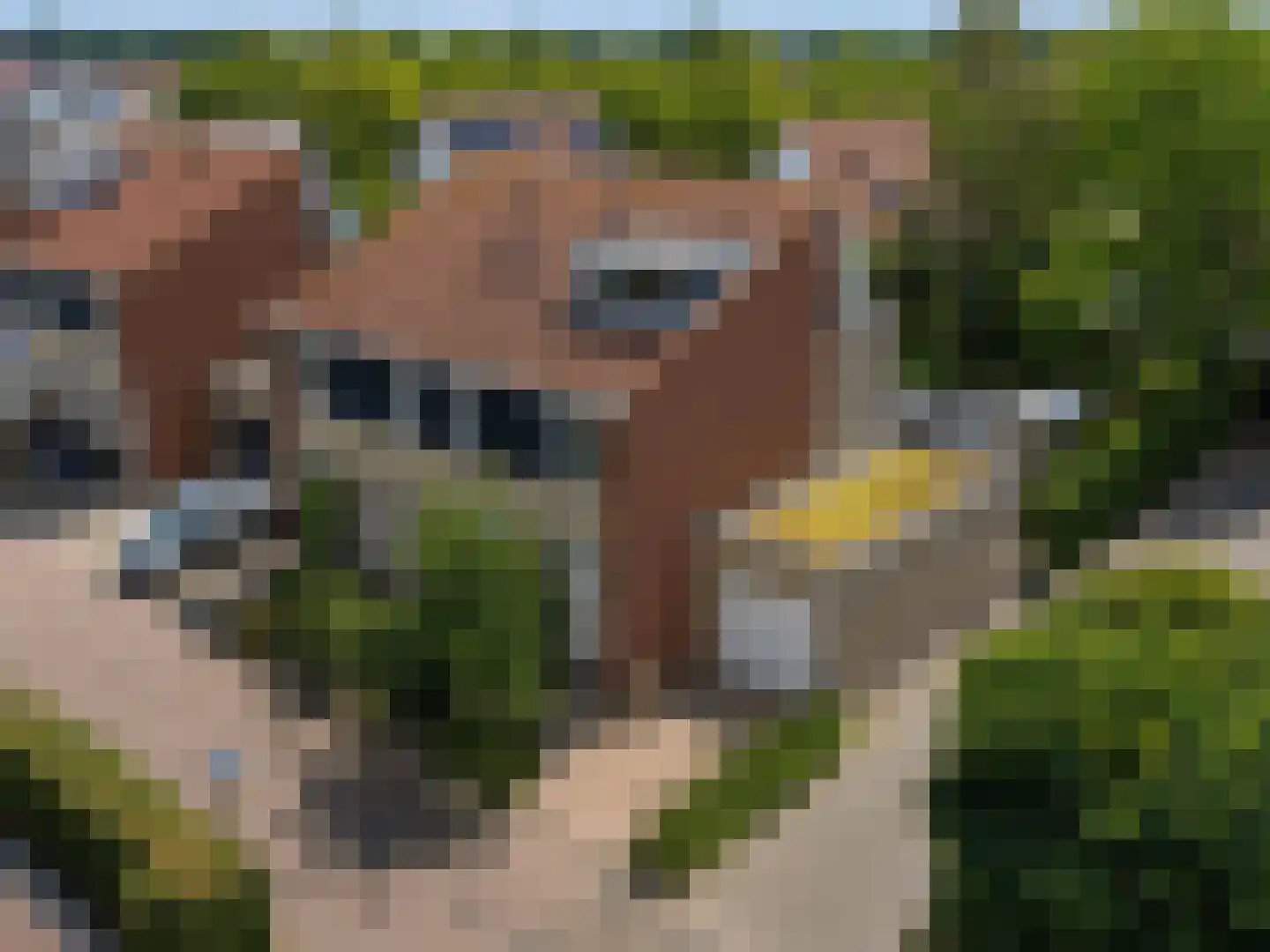 Brahmslaan 11 Goes thumbnail 4