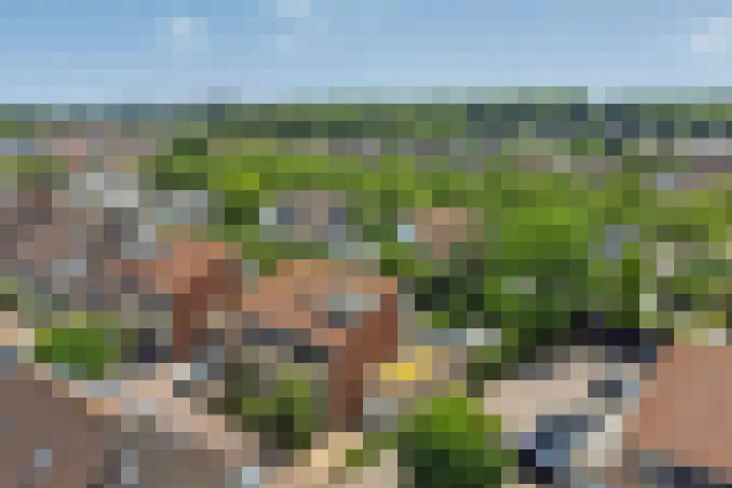 Brahmslaan 11 Goes thumbnail 43