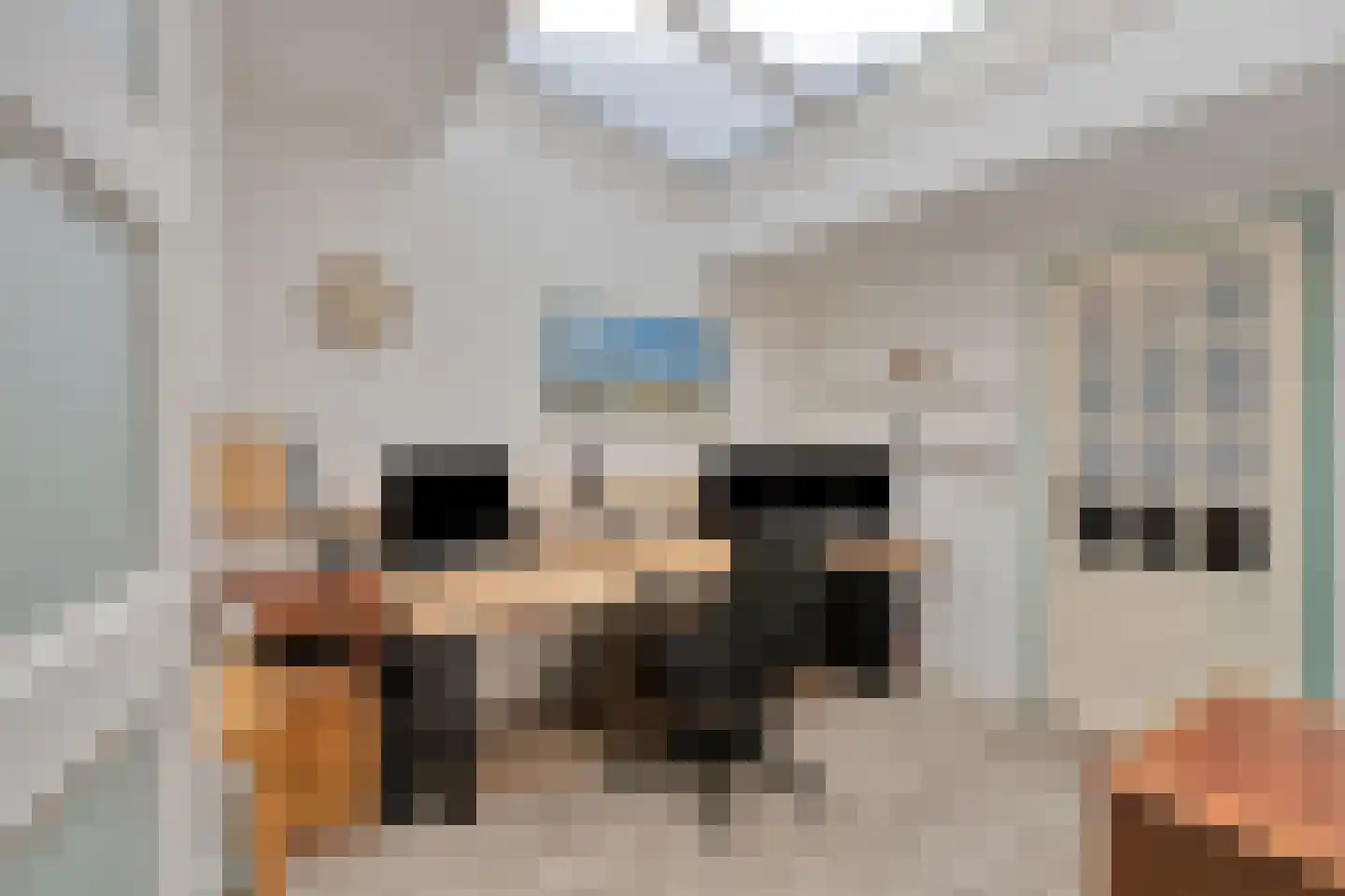 Brahmslaan 11 Waalre thumbnail 4
