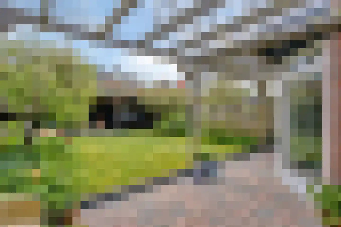 Brahmslaan 11 Waalre thumbnail 6