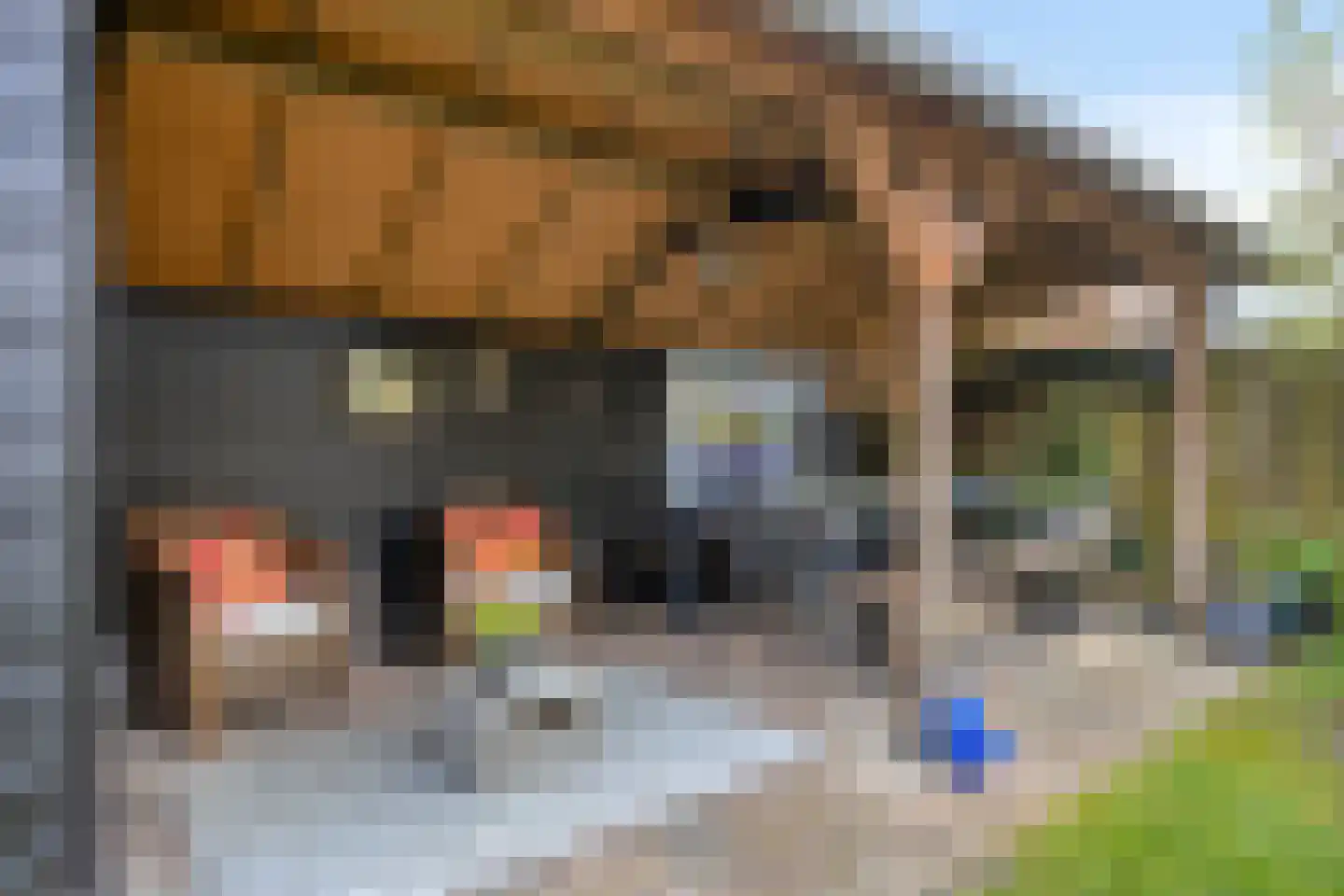 Brahmslaan 11 Waalre thumbnail 7