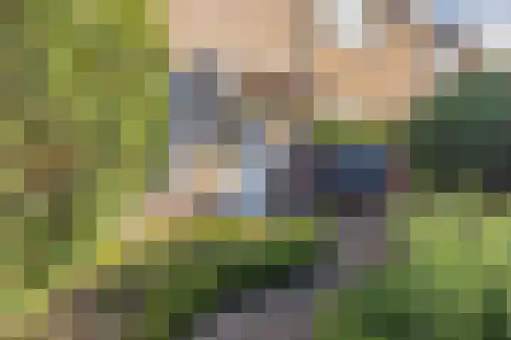 Brahmslaan 16 Akersloot thumbnail 32