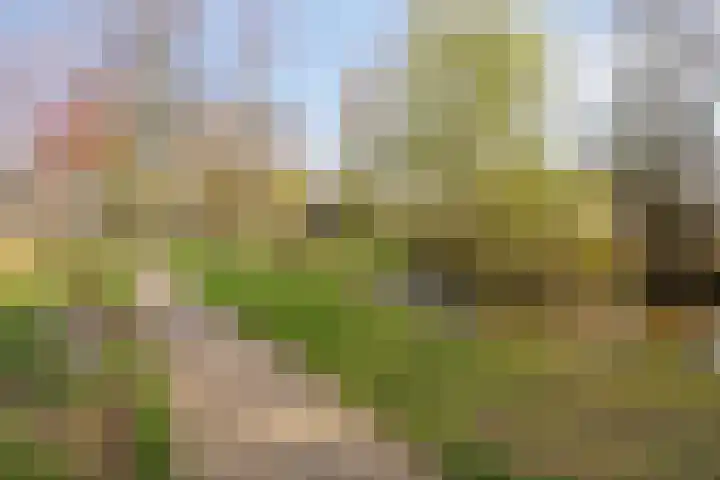 Brahmslaan 18 Helmond thumbnail 33