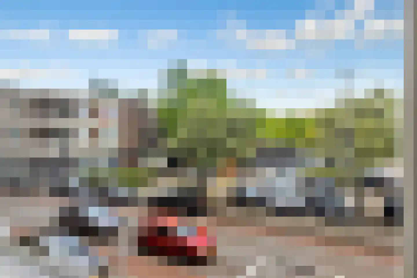 Brahmslaan 2 A Eindhoven thumbnail 28