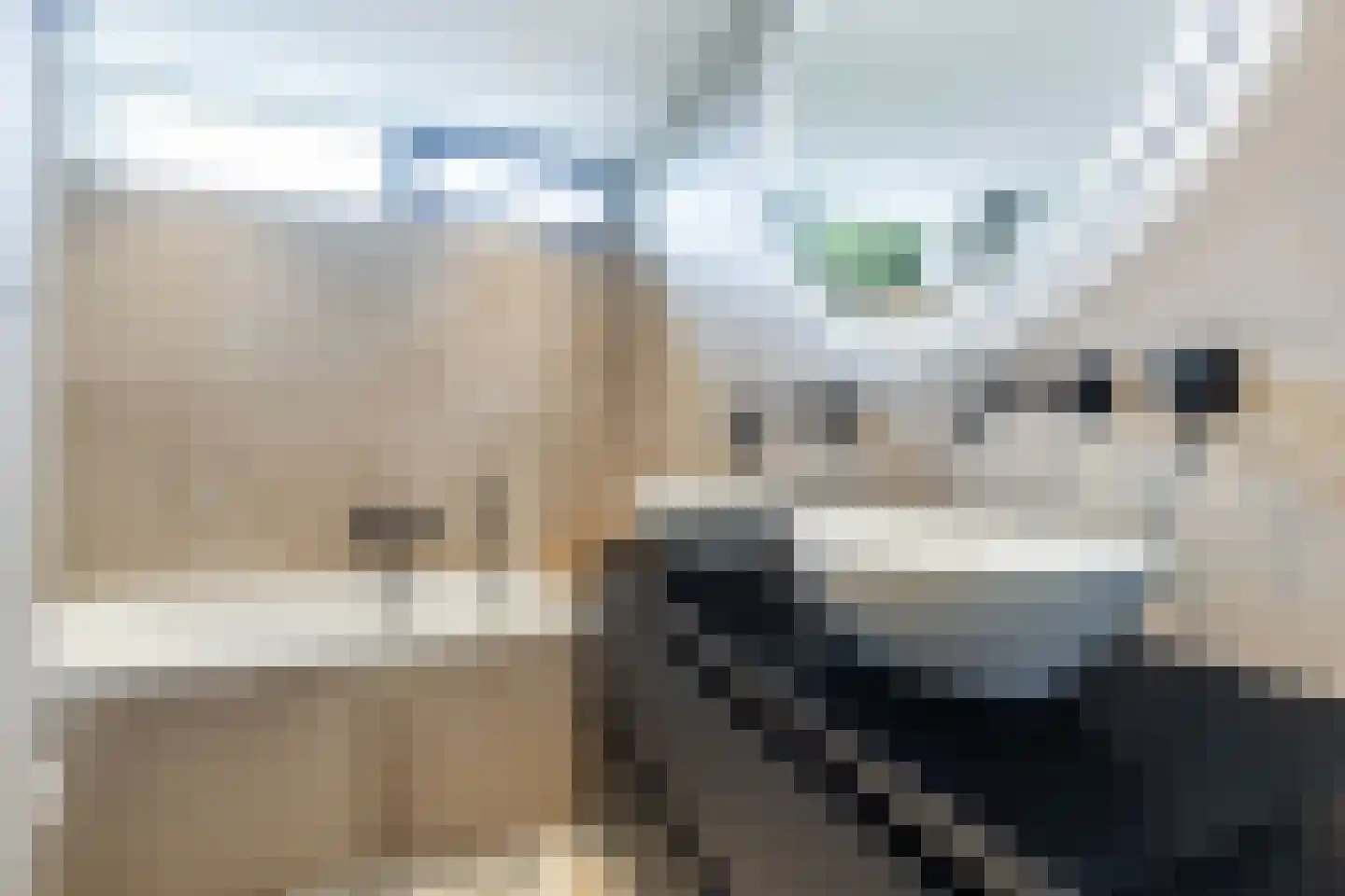 Brahmslaan 20 Nijkerk thumbnail 21