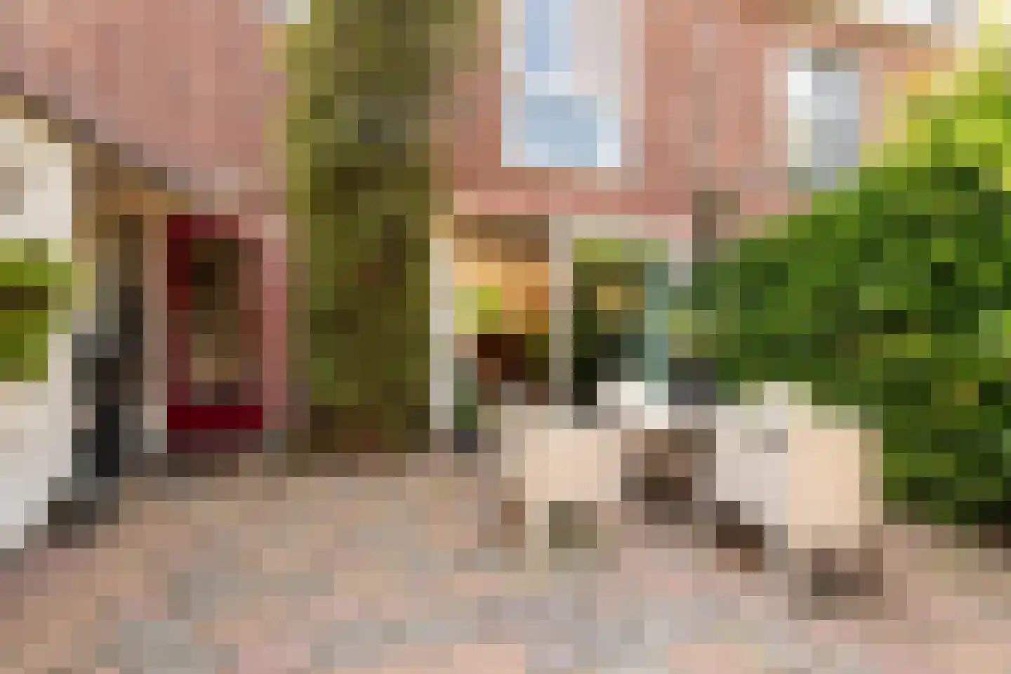 Brahmslaan 29 Heemstede thumbnail 16