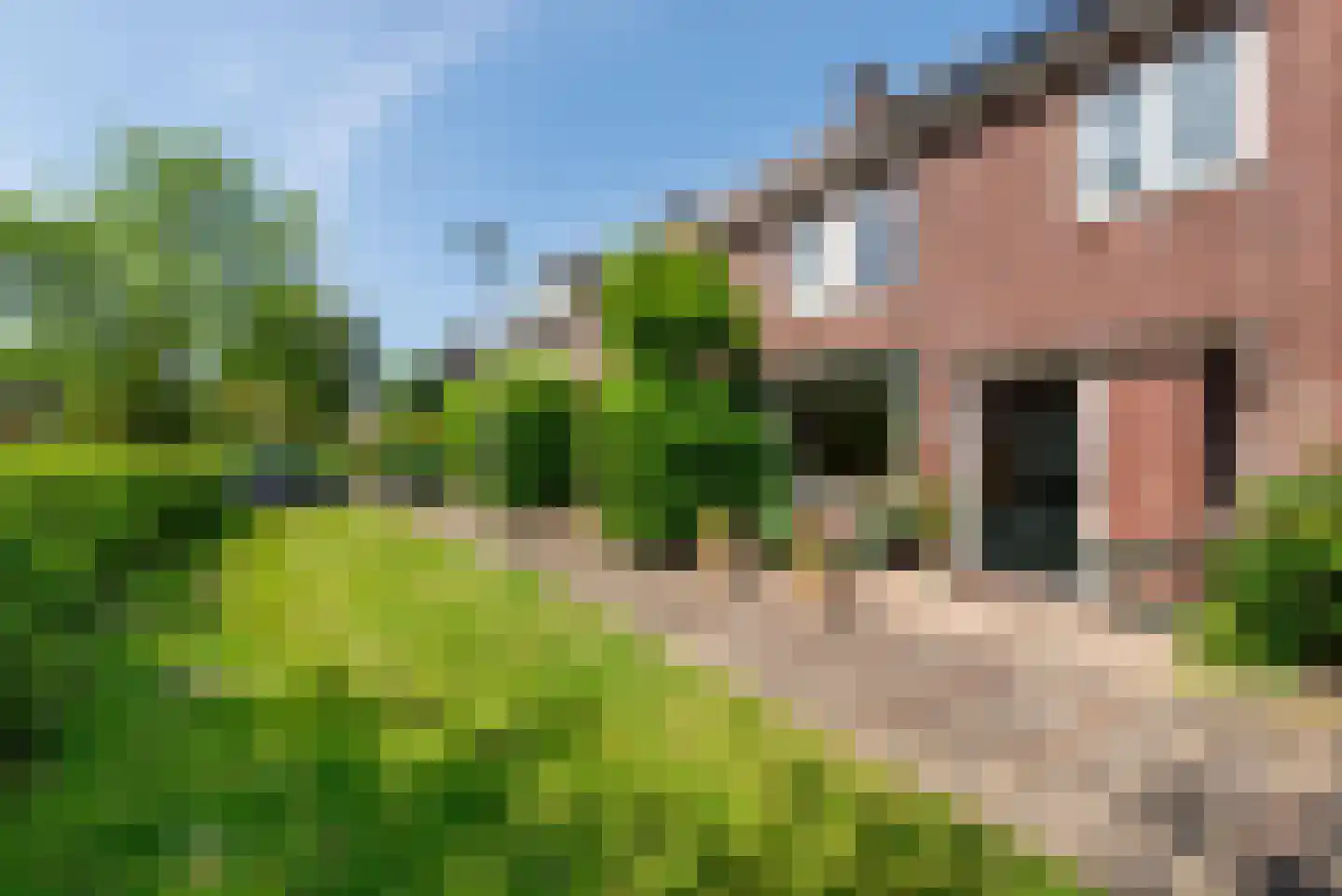 Brahmslaan 29 Heemstede thumbnail 29