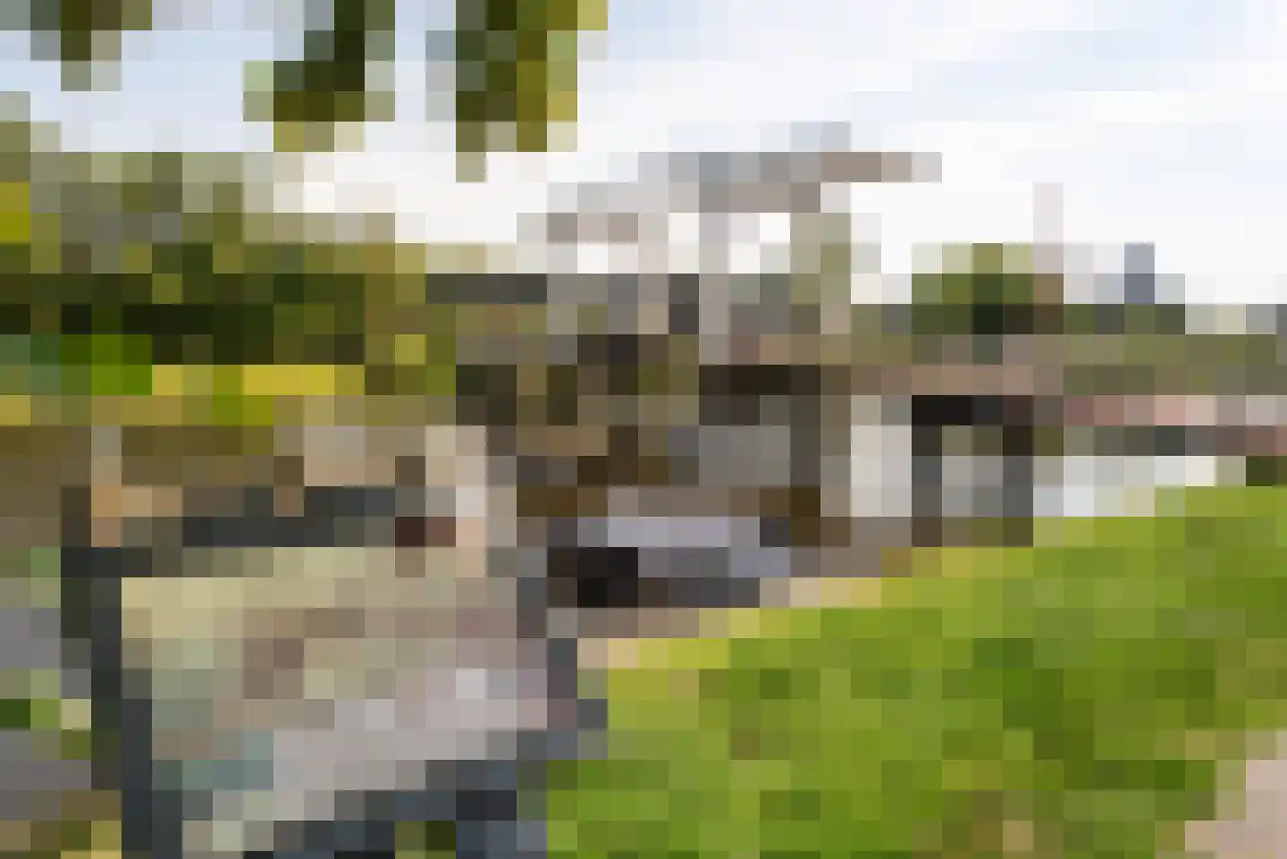 Brahmslaan 29 Heemstede thumbnail 34