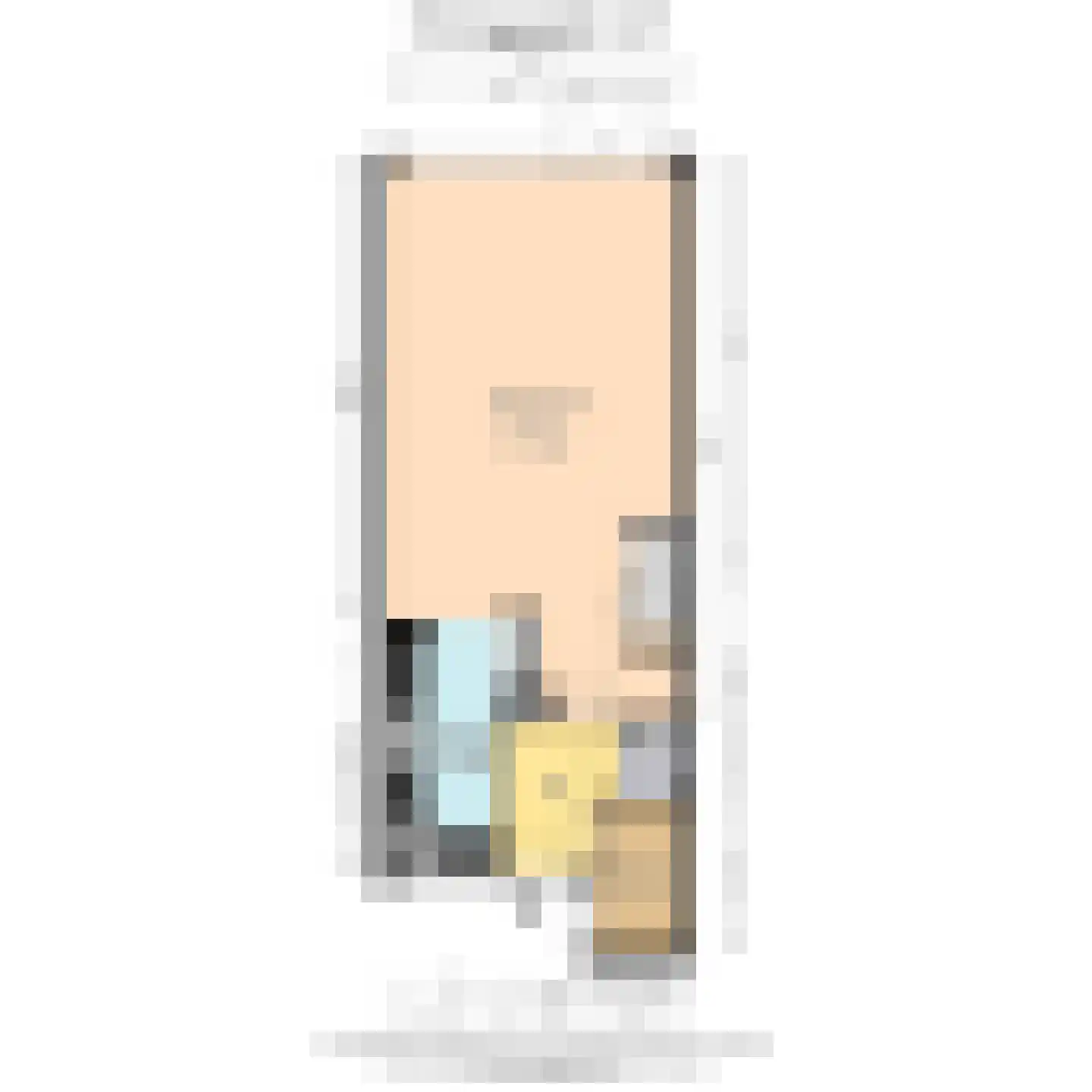 Brahmslaan 38 B Delft thumbnail 61