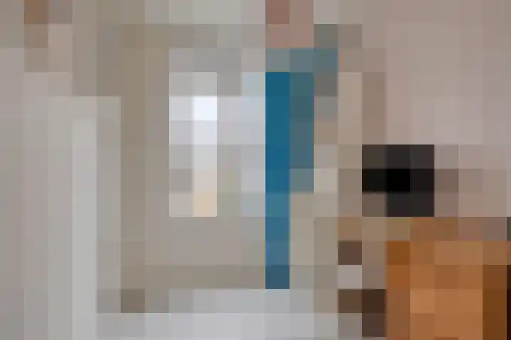 Brahmslaan 39 Rotterdam thumbnail 29