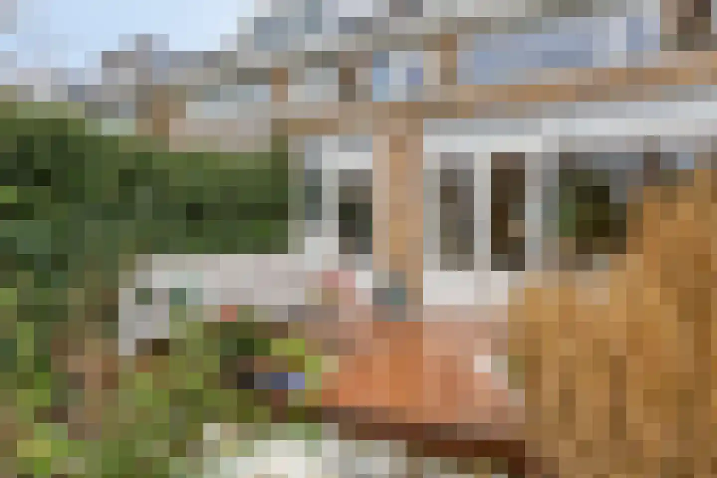 Brahmslaan 39 Rotterdam thumbnail 44