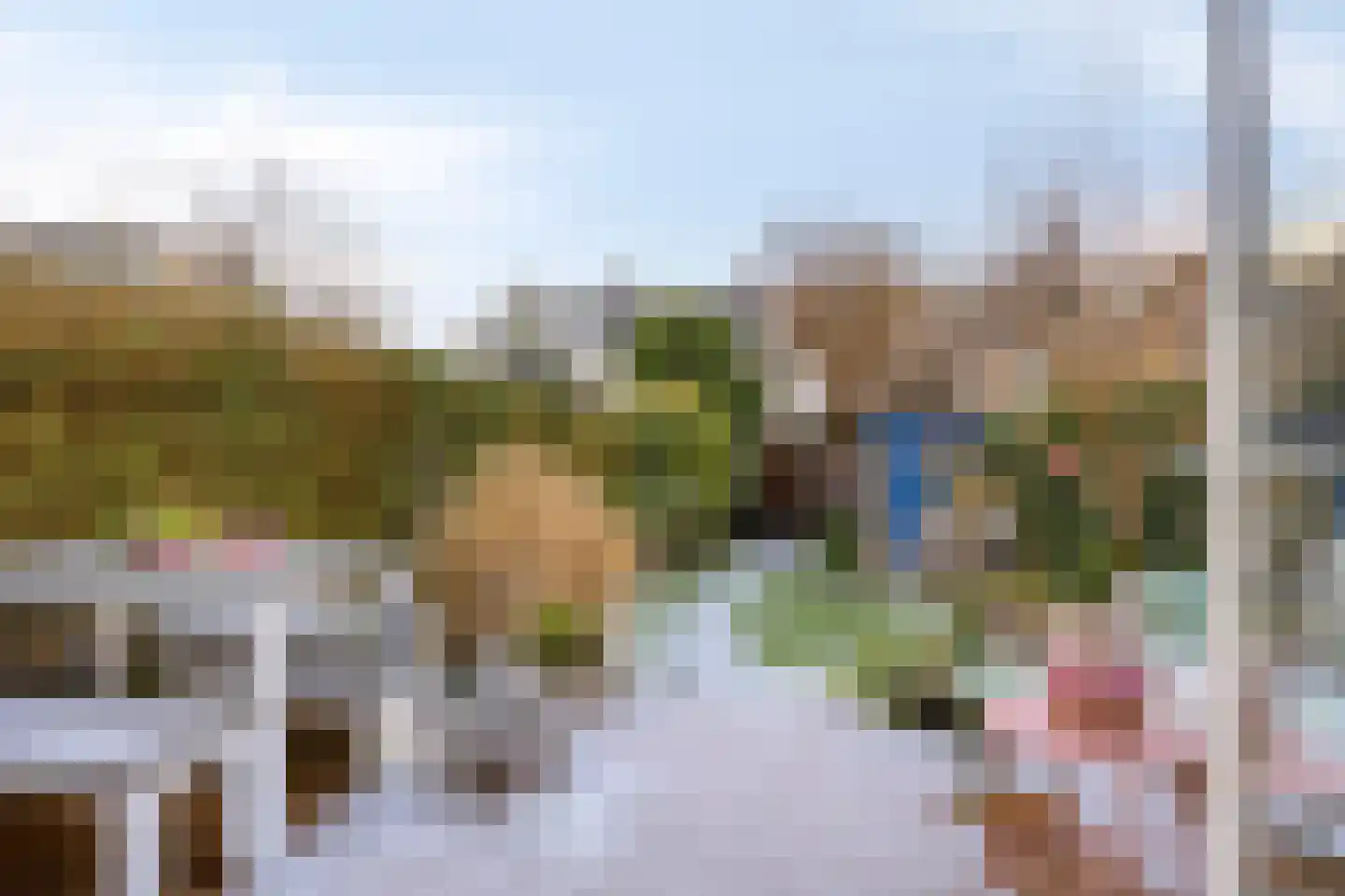 Brahmslaan 39 Rotterdam thumbnail 45