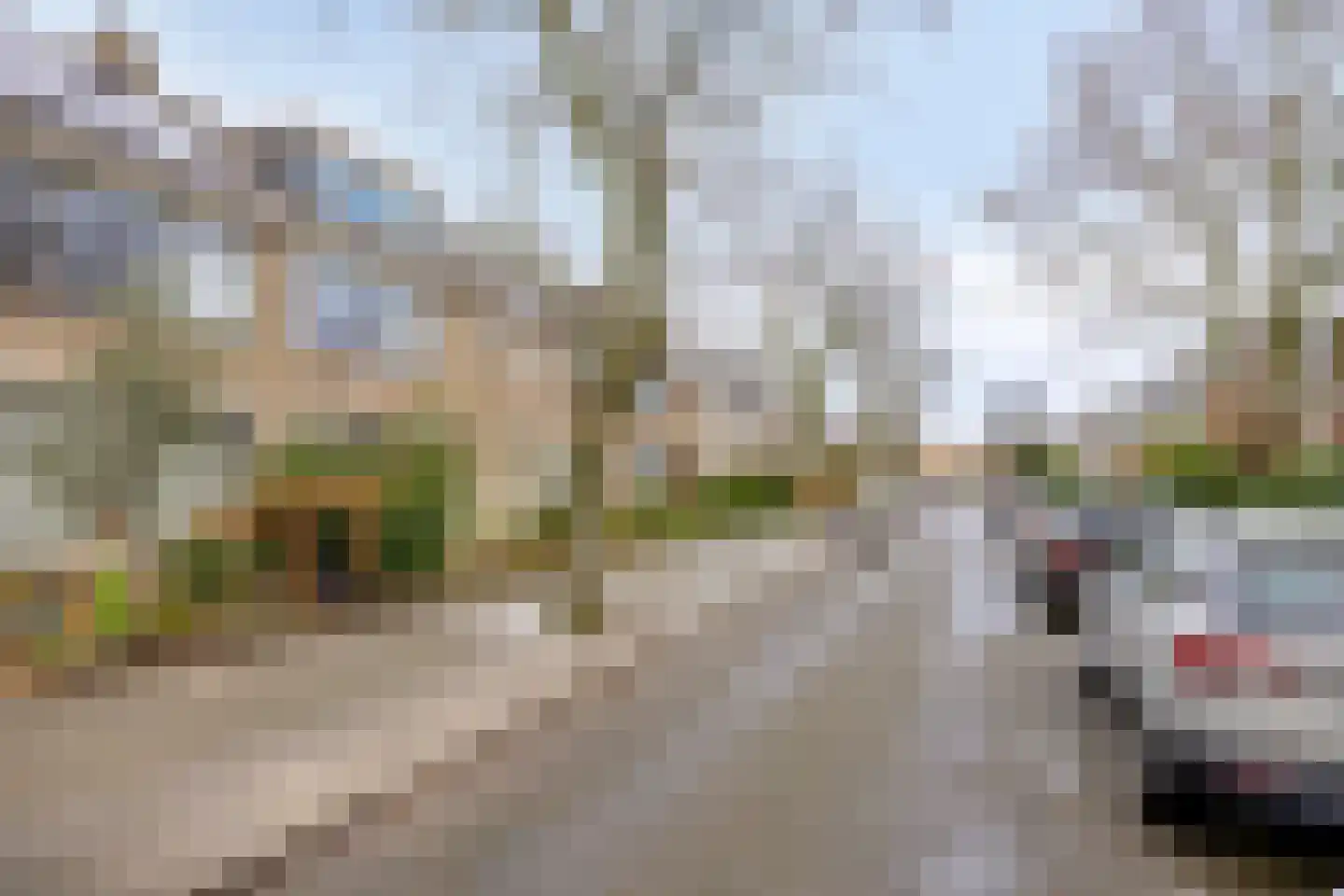 Brahmslaan 39 Rotterdam thumbnail 51
