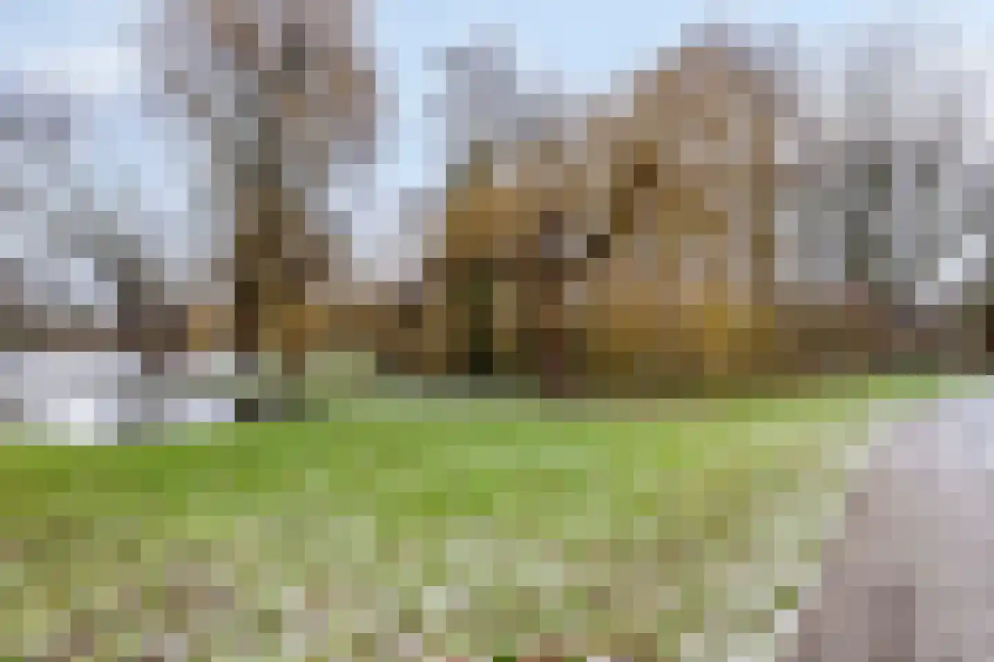 Brahmslaan 39 Rotterdam thumbnail 53