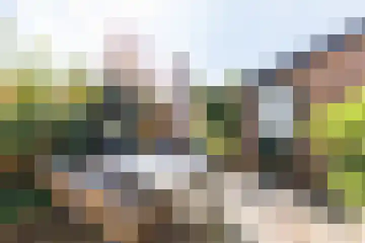 Brahmslaan 40 Apeldoorn thumbnail 22