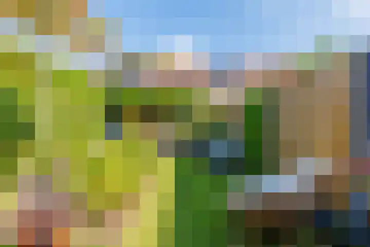 Brahmslaan 40 Apeldoorn thumbnail 26