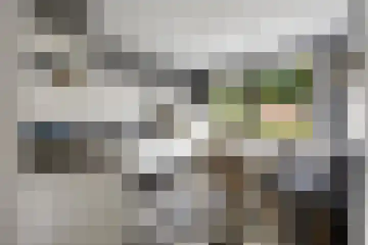Brahmslaan 44 Voorthuizen thumbnail 10