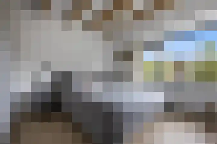 Brahmslaan 44 Voorthuizen thumbnail 20
