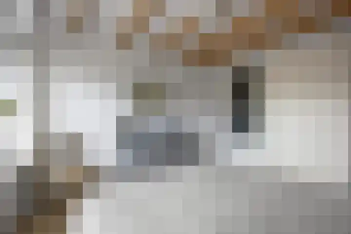 Brahmslaan 44 Voorthuizen thumbnail 21