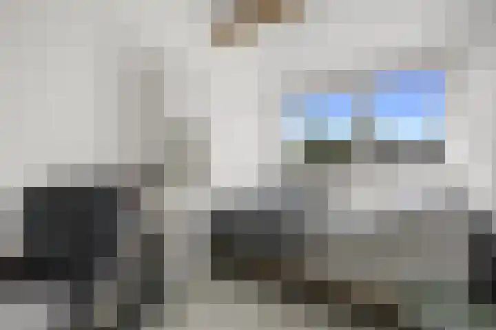 Brahmslaan 44 Voorthuizen thumbnail 33