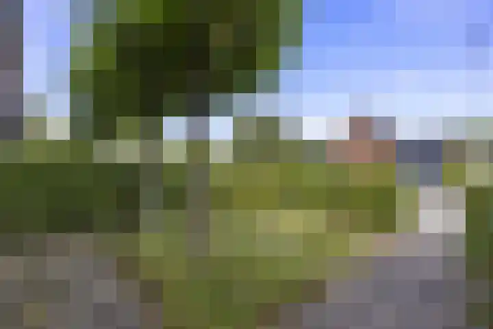 Brahmslaan 44 Voorthuizen thumbnail 4